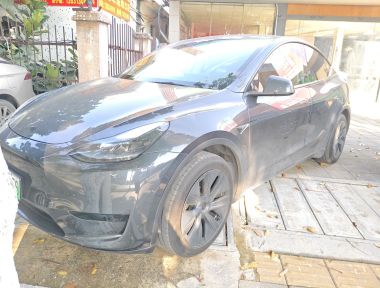 Tesla Model Y 2024 car image 