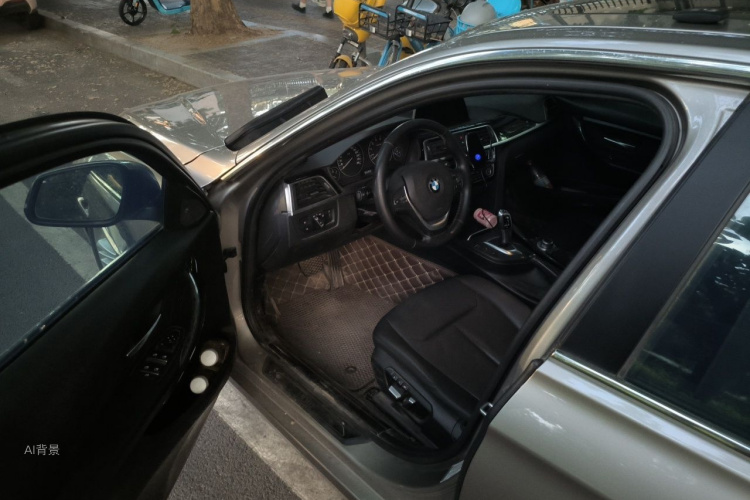BMW 3 Series 2016 car image #18