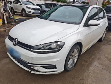 Volkswagen Golf 2019 Volkswagen Golf 2019 car image