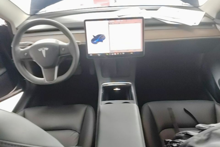 Tesla Model 3 2021 car image #11