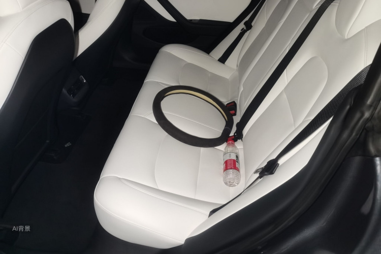 Tesla Model 3 2020 car image #19