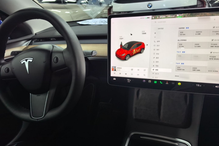 Tesla Model Y 2021 car image #10