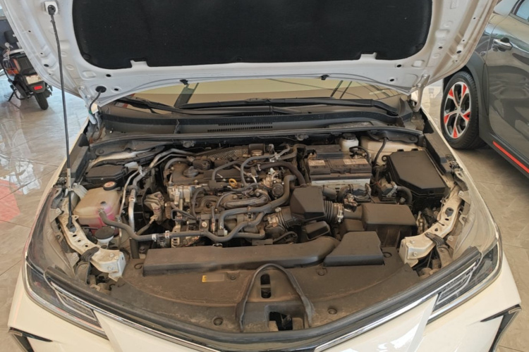 Toyota Corolla 2021 car image #20