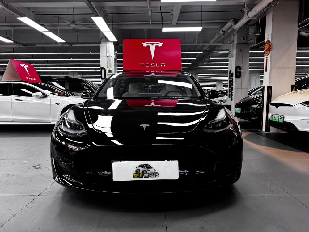 Tesla Model 3 2021 #2 Tesla Model 3 2021 car image #2