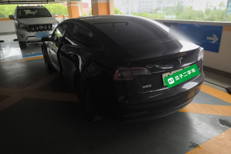 Tesla Model 3 2021 #5 Tesla Model 3 2021 car image #5