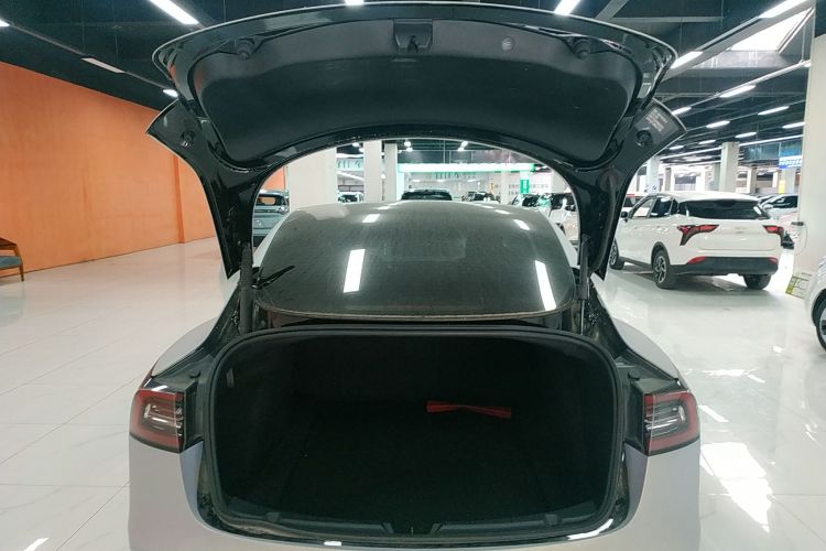 Tesla Model 3 2021 #19 Tesla Model 3 2021 immagine di auto #19