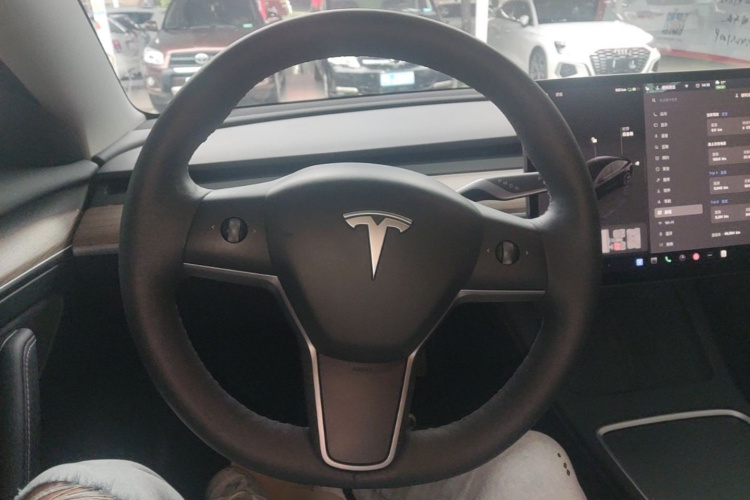 Tesla Model 3 2023 car image #11