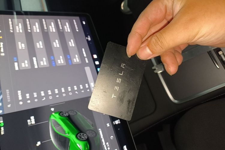 Tesla Model Y 2023 #9 Tesla Model Y 2023 car image #9