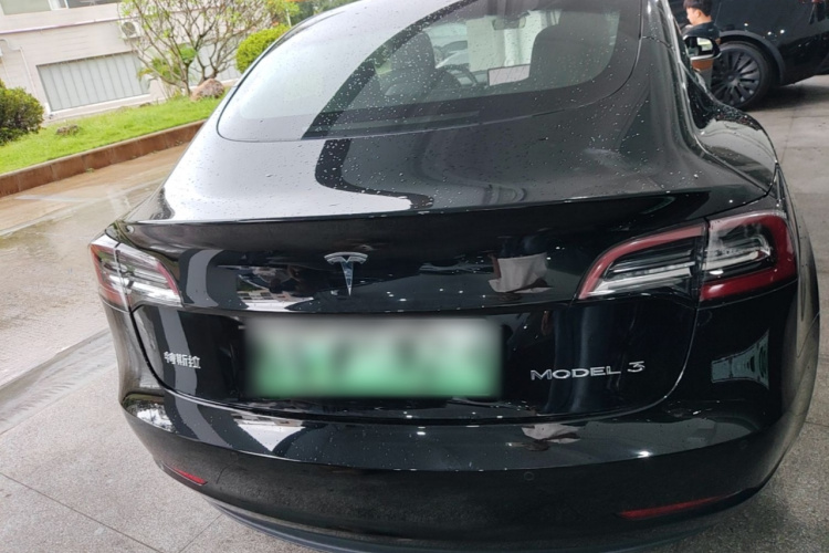 Tesla Model 3 2020 car image #4