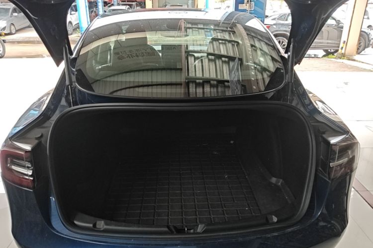 Tesla Model 3 2020 car image #19