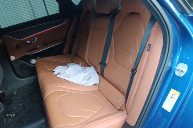 BYD Han 2023 car image #19