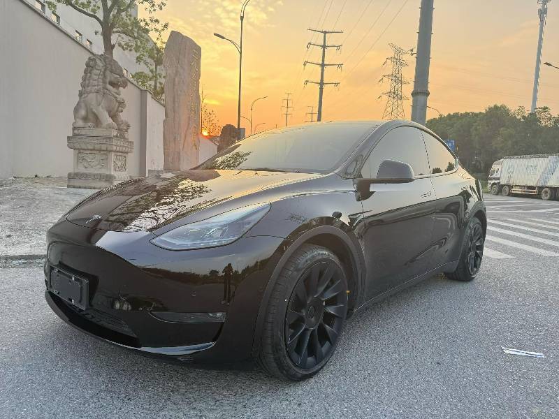 Tesla Model Y 2021 #2 Tesla Model Y 2021 car image #2