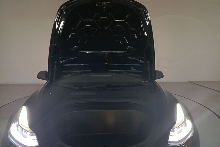 Tesla Model 3 2021 #22 Tesla Model 3 2021 car image #22