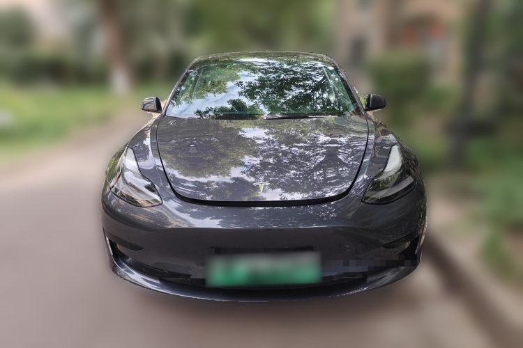 Tesla Model 3 2021 #3 Tesla Model 3 2021 car image #3