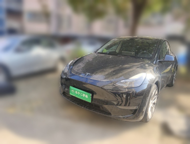 Tesla Model Y 2022 immagine di auto 