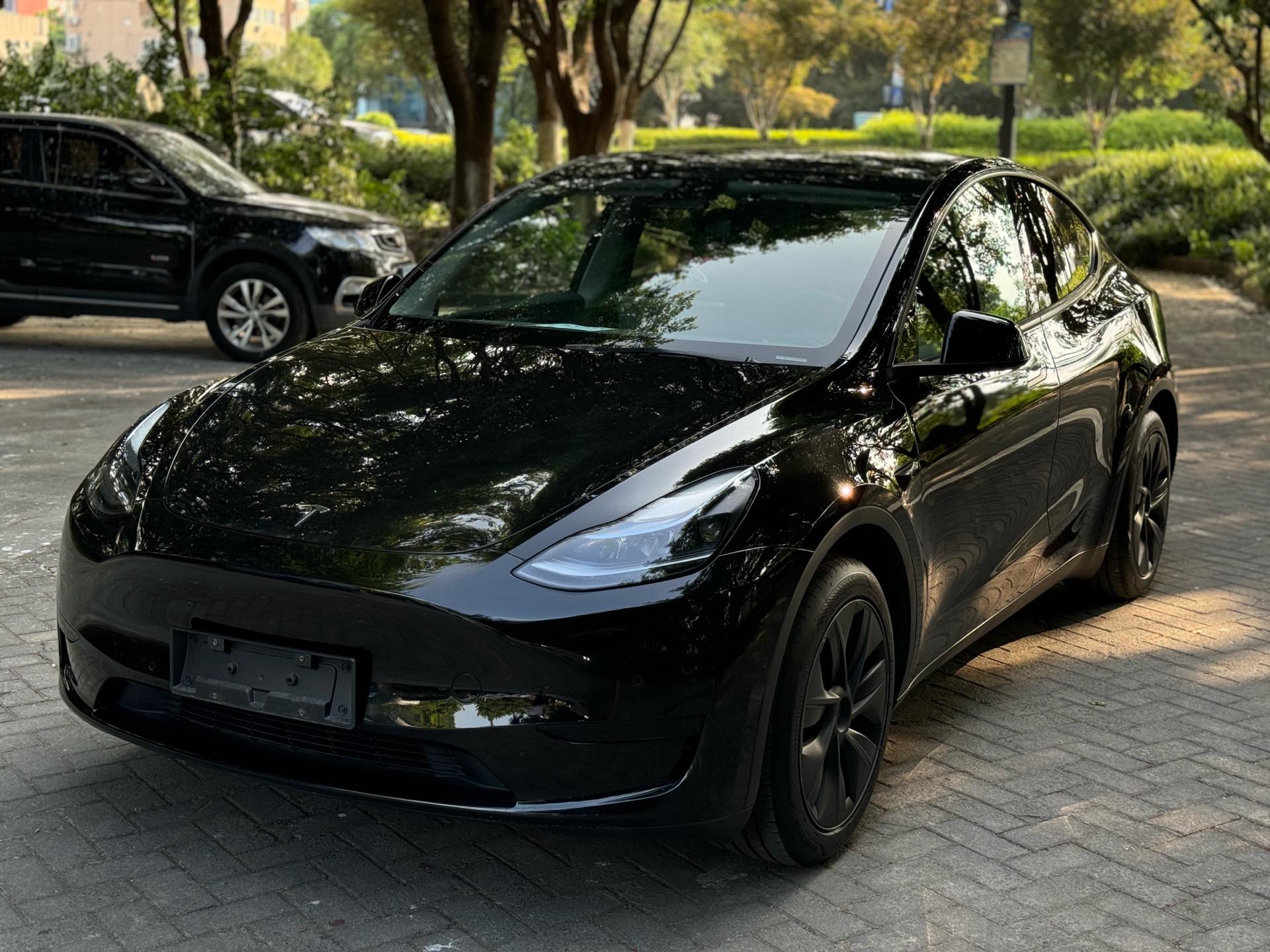Tesla Model Y 2023 Tesla Model Y 2023 car image
