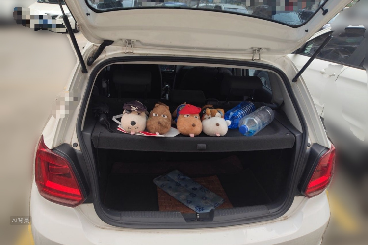Volkswagen Polo 2016 car image #21