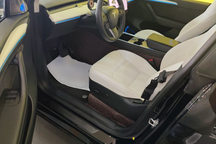 Tesla Model Y 2021 car image #16