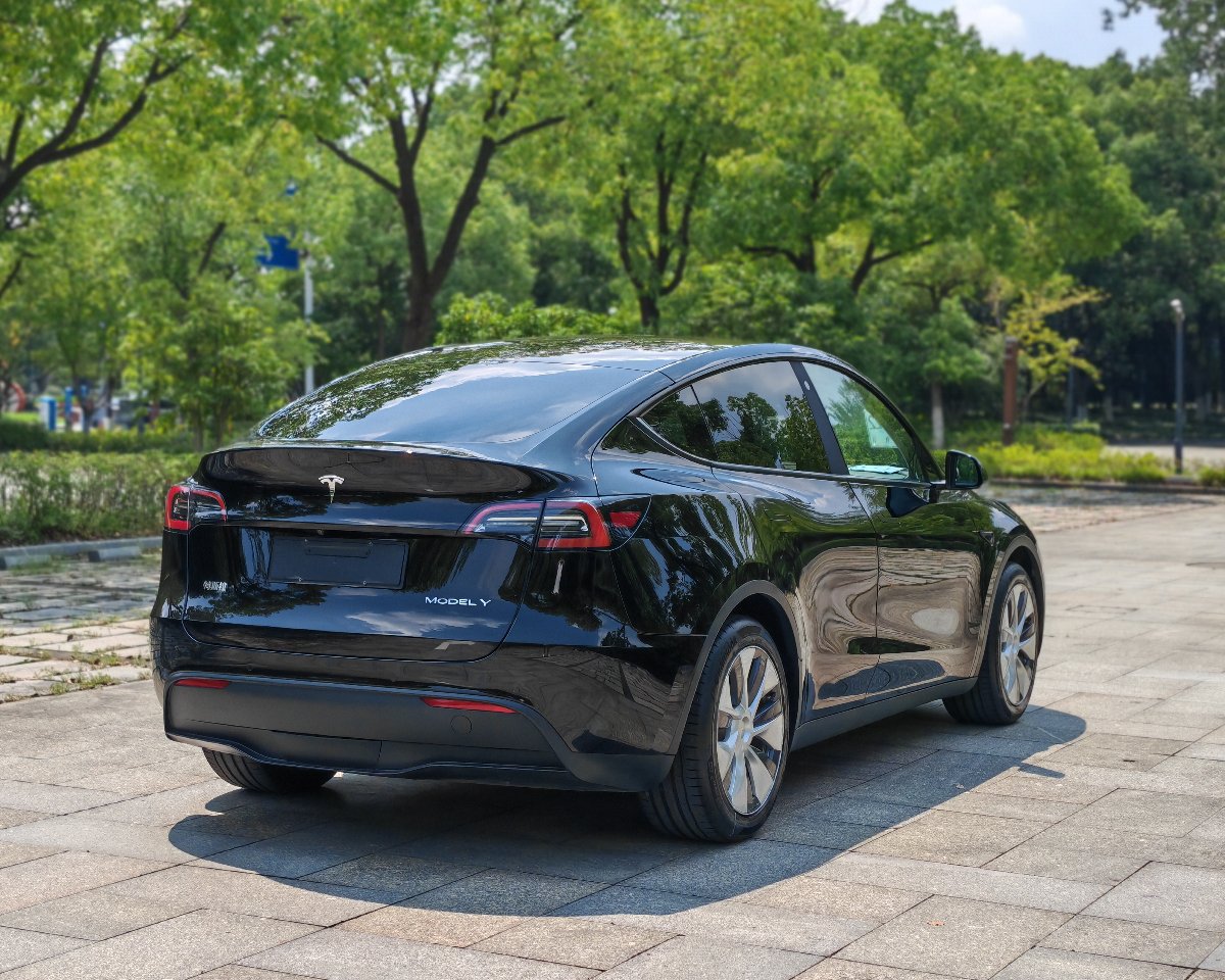 Tesla Model Y 2023 #9 Tesla Model Y 2023 car image #9