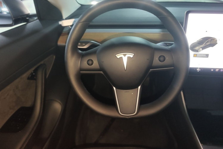 Tesla Model 3 2020 car image #11