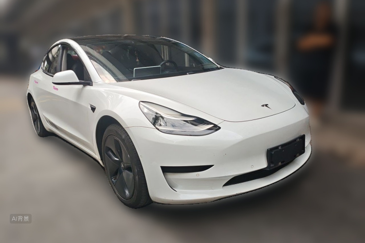 Tesla Model 3 2020 car image #4
