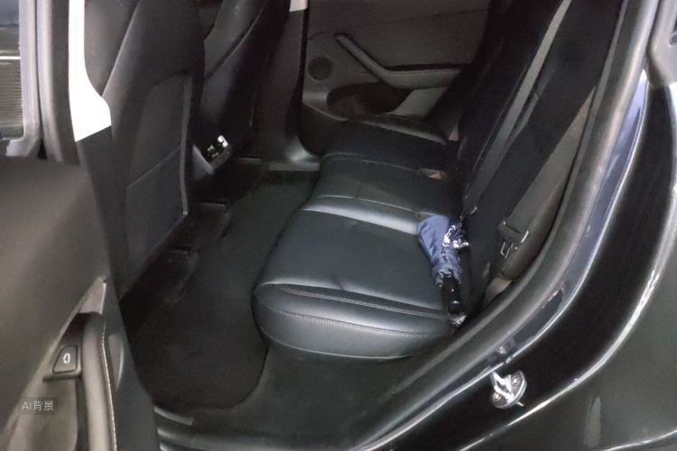 Tesla Model Y 2024 car image #19