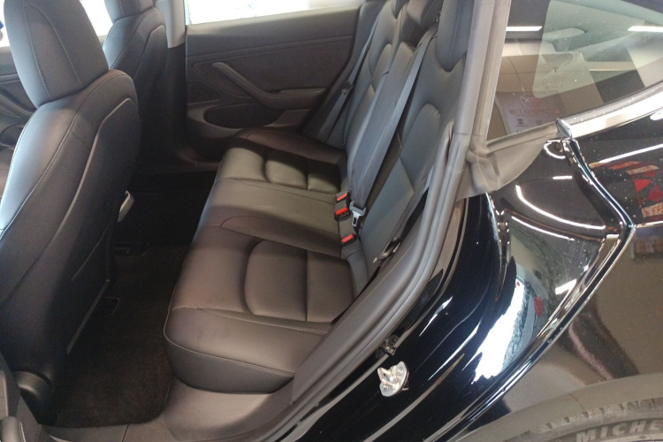 Tesla Model 3 2021 #17 Tesla Model 3 2021 car image #17