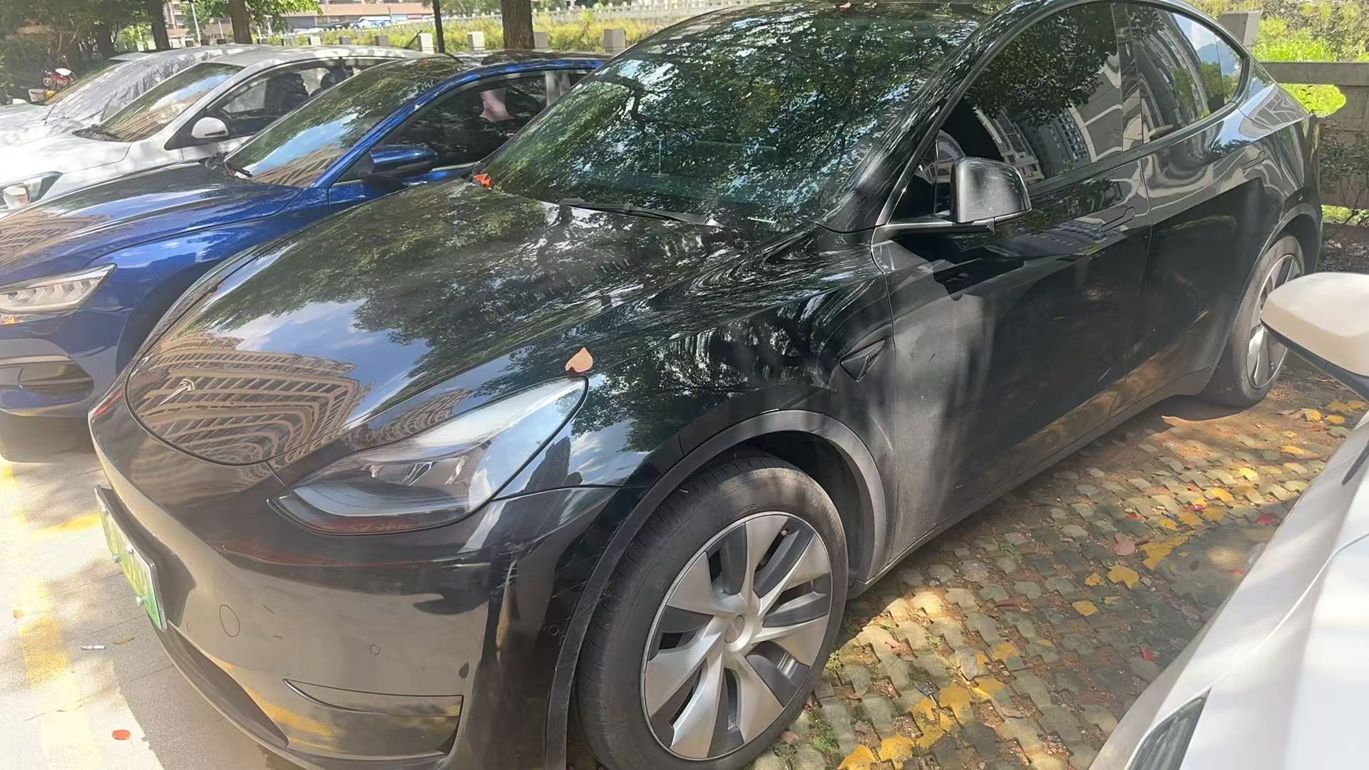 Tesla Model Y 2023 Tesla Model Y 2023 car image