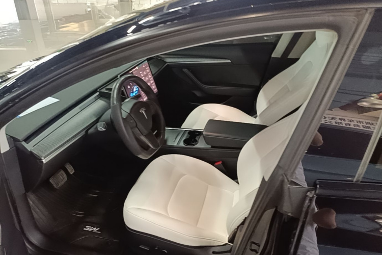 Tesla Model 3 2022 immagine di auto #19