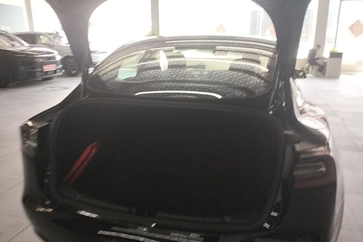 Tesla Model 3 2020 immagine di auto #19
