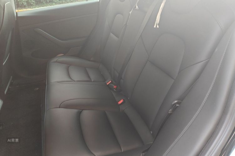 Tesla Model 3 2022 car image #19