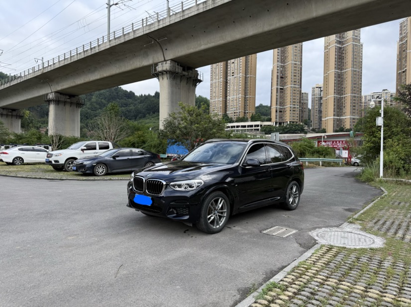BMW X3 2020 car image 