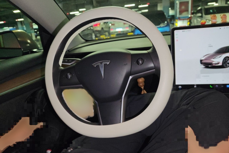 Tesla Model 3 2022 car image #15