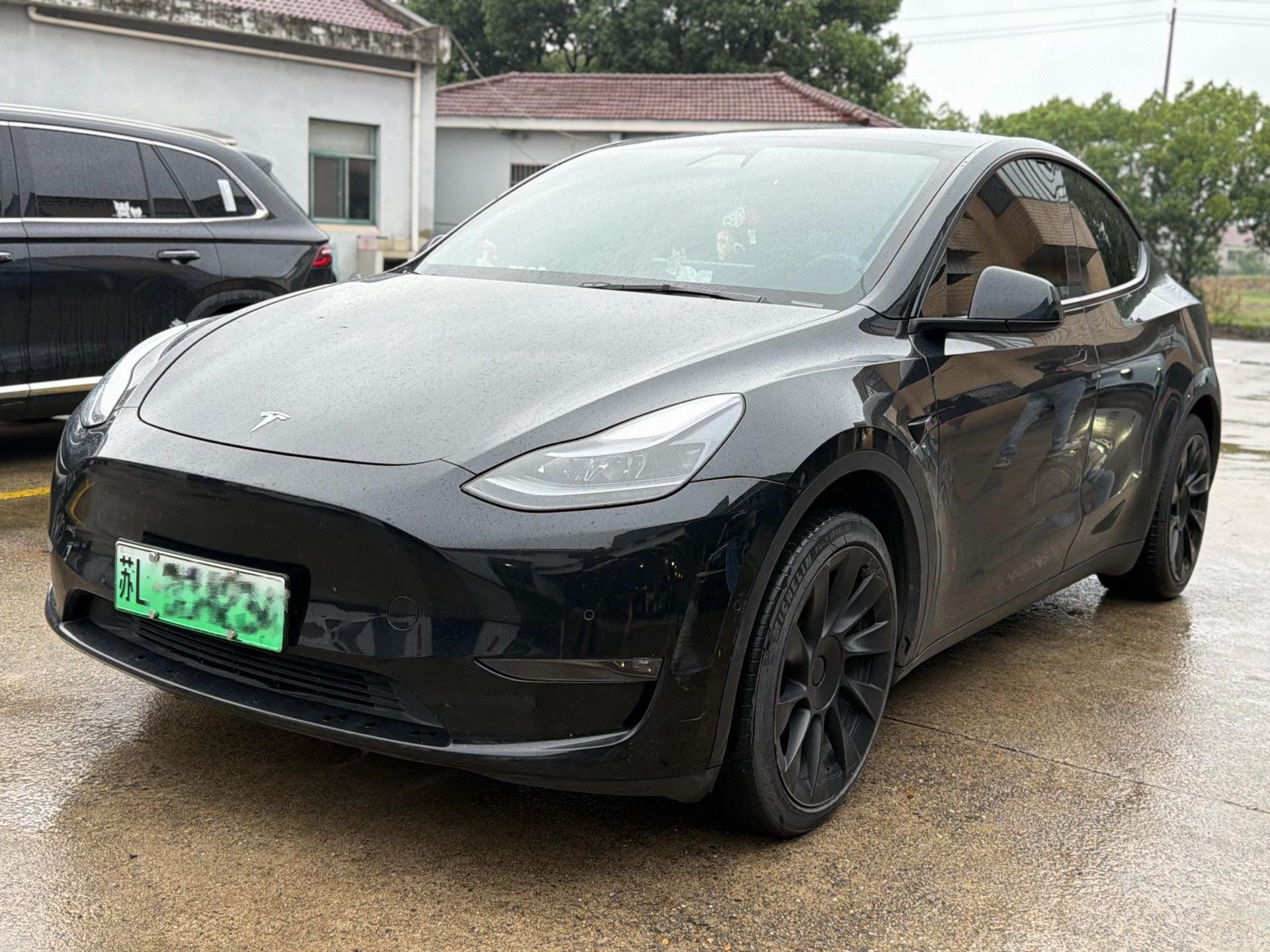 Tesla Model Y 2021 Tesla Model Y 2021 car image