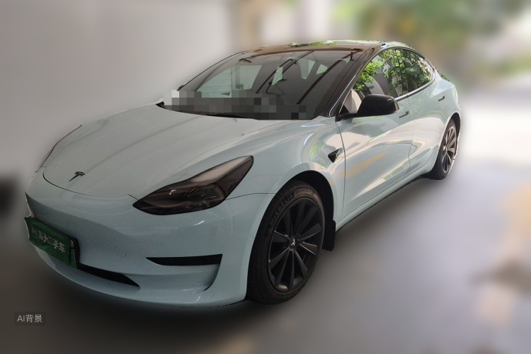 Tesla Model 3 2021 car image #2