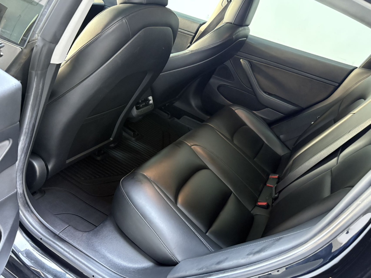 Tesla Model 3 2020 car image #5