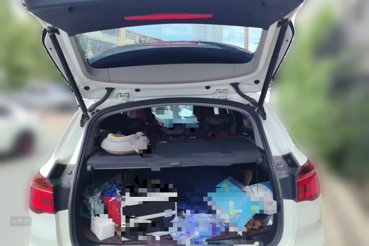 BMW X1 2019 car image #21