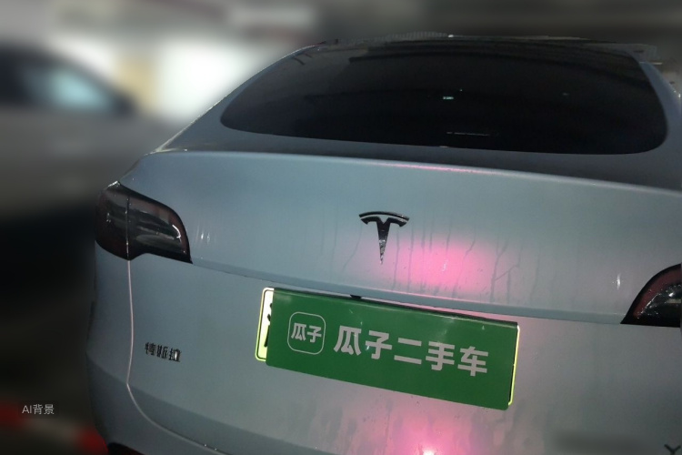 Tesla Model Y 2023 car image #6