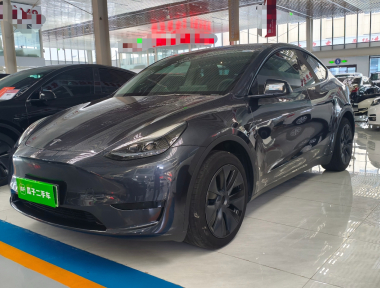 Tesla Model Y 2024 Tesla Model Y 2024 car image