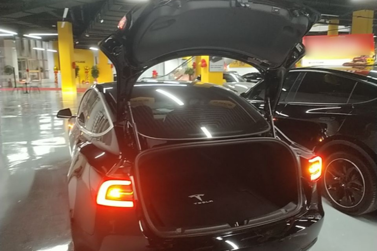 Tesla Model 3 2020 car image #19