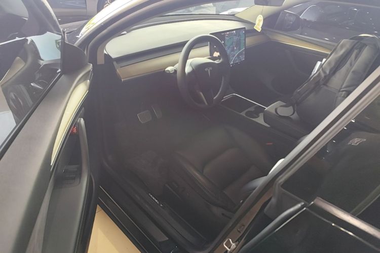 Tesla Model Y 2021 car image #12