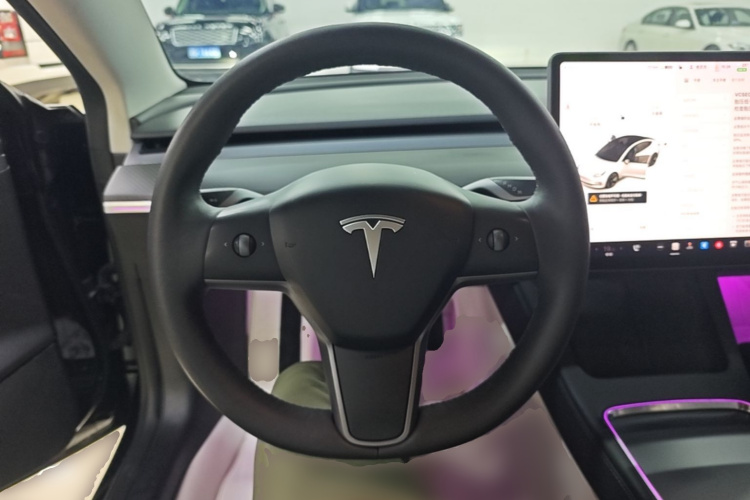 Tesla Model 3 2021 #11 Tesla Model 3 2021 car image #11