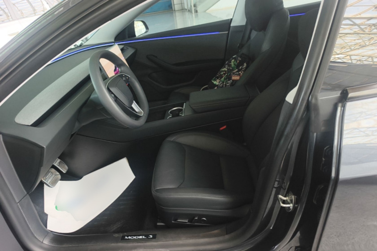 Tesla Model 3 2024 immagine di auto #15