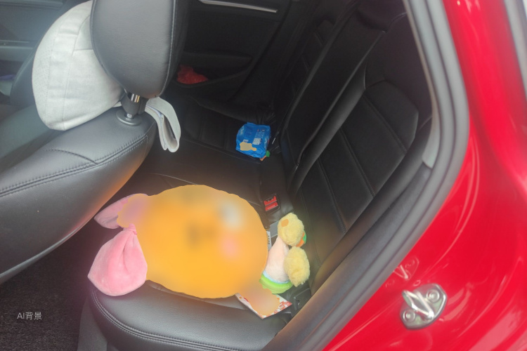 奥迪 奥迪A3 2018 汽车图片 #19