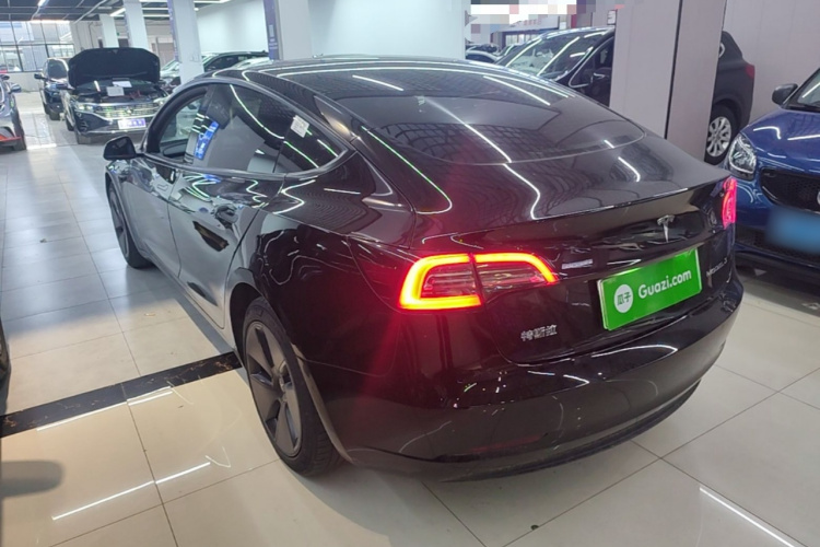 Tesla Model 3 2021 #5 Tesla Model 3 2021 car image #5