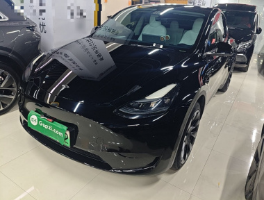 Tesla Model Y 2022 Tesla Model Y 2022 car image