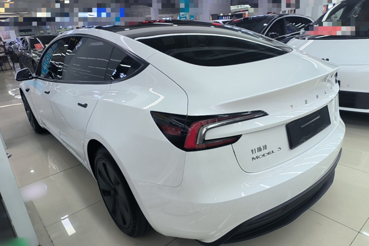 Tesla Model 3 2024 immagine di auto #5