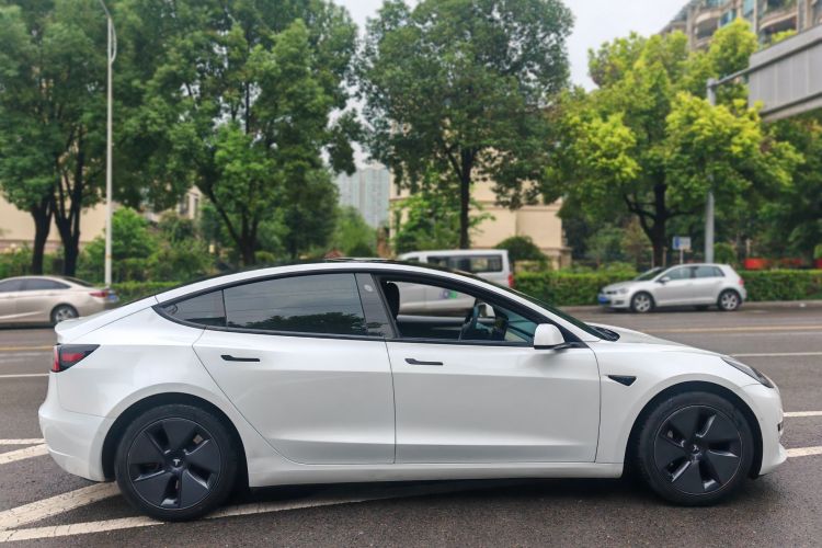 Tesla Model 3 2021 #8 Tesla Model 3 2021 car image #8