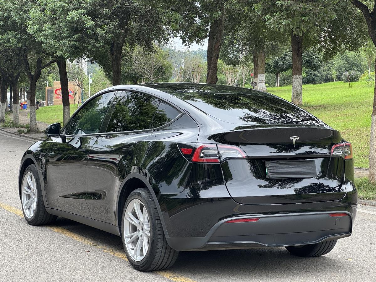 Tesla Model Y 2023 car image #7