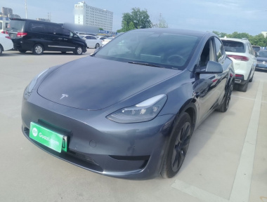 Tesla Model Y 2022 Tesla Model Y 2022 car image